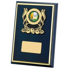 Multi Sport Award Blue Wooden