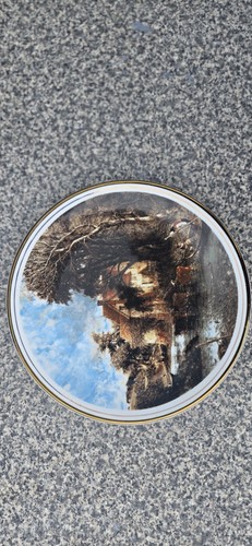 Collector decorative plate - collector,