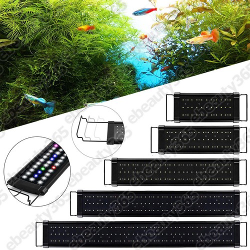 115cm aquarium fish - aquarium, tank