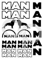 MAN TRUCK X16 VINYL STICKERS TGX LION GRAPHIC DECAL CUSTOMISE