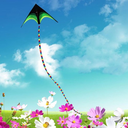 15m nylon kite - nylon, single