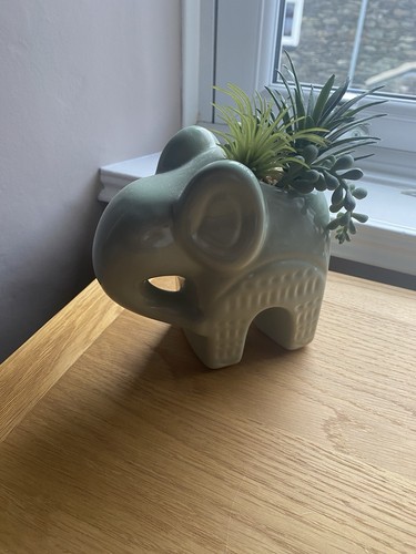 Ceramic elephant planter with - ceramic,