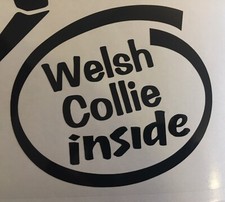 WELSH COLLIE INSIDE DOG ON