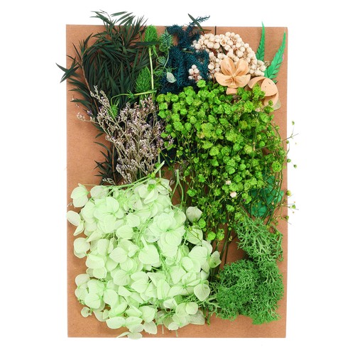 Pressed flowers bulk - pressed,