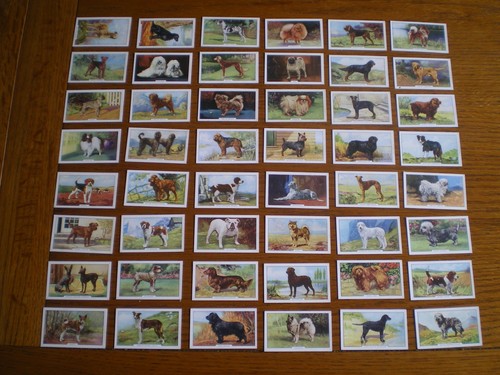 Set gallaher dogs - set, series