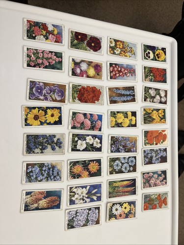 Wills cigarette cards - cigarette,