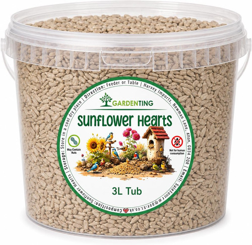 Premium sunflower hearts - sunflower,