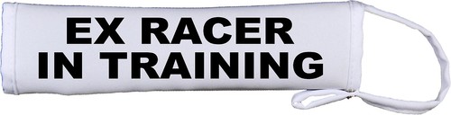 Racer training greyhound - racer,