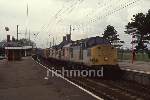 Manningtree class 37031 - manningtree,