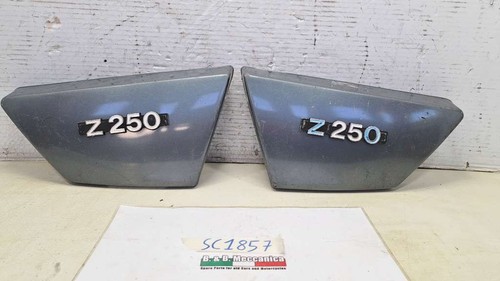 Pair side panels - panels,