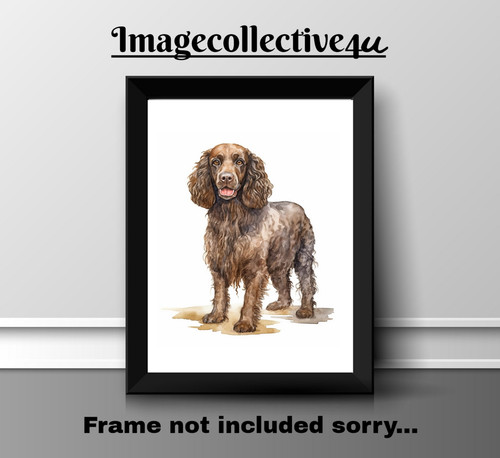 American cocker spaniel a4 - american,