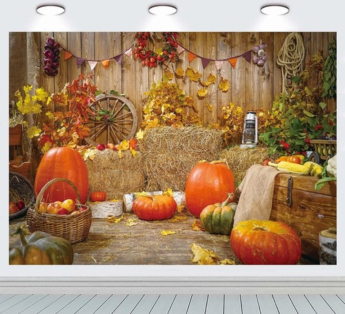 Thanksgiving harvest festival - thanksgiving,