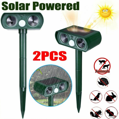 Outdoor solar animal - pk,