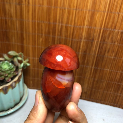 32mm rare natural red - 66-37-32mm,