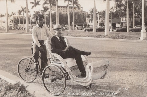 Palm beach afromobile jim - palm,