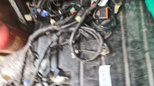 Yamaha x125 cygnus wiring loom - cygnus,