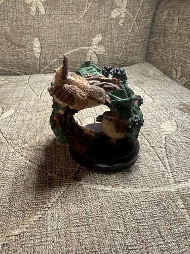 Country bird collection - collection, wren