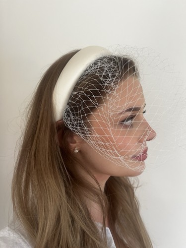 Ivory cream birdcage veil - birdcage,