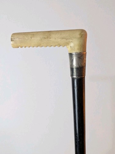 Antique walking stick - walking,