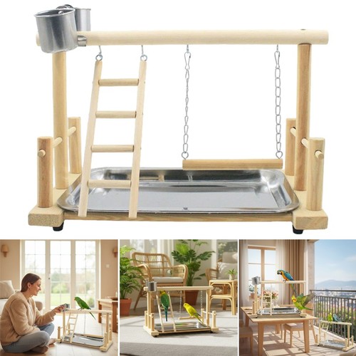 Parrot playstand bird - parrot, plays