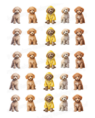 Poodle dog cake topper party - poodle,