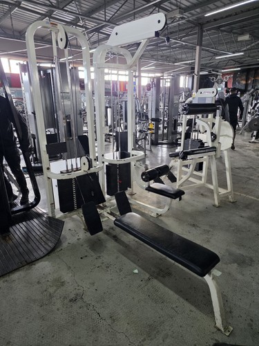 Life fitness pro low row - life,
