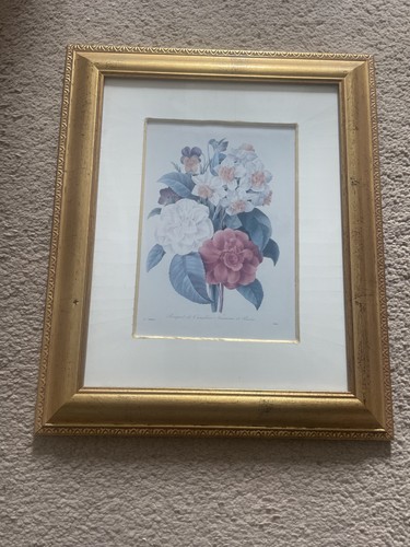 Pierre joseph redoute print - joseph,