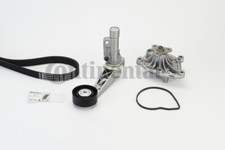 Continental ctam 6pk905 - continental,