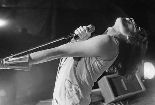Singer freddie mercury - freddie, of