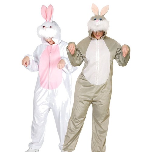 Bunny rabbit white - bunny, grey