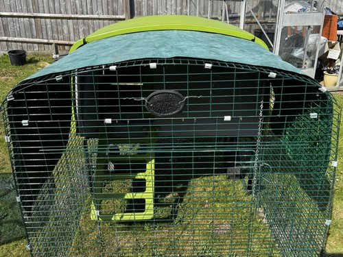 Omlet eglu chicken coop - chicken,