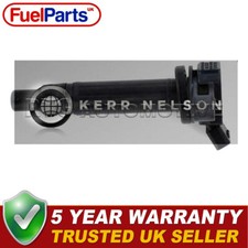 Kerr nelson ignition - nelson, pack