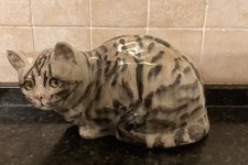 Winstanley Tabby Cat Size 5