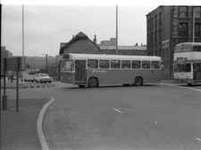 35mm Black and White Negative