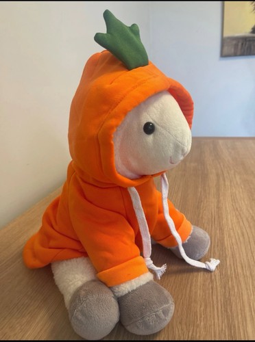 Cute orange carrot dog - carrot, hoodie