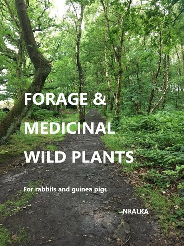 Forage and medicinal wild - forage,