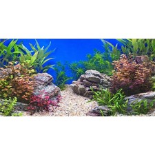 72x24 Inches Aquatic Plant