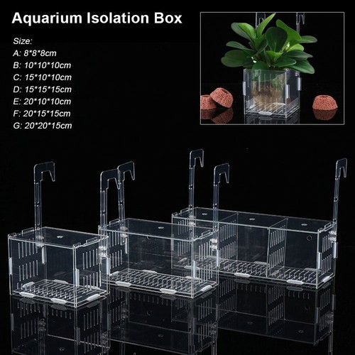 1pcs small fry - 1pcs,