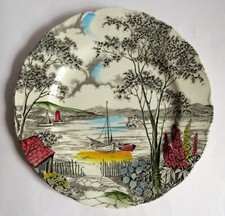 Decorative W H Grindley Plate