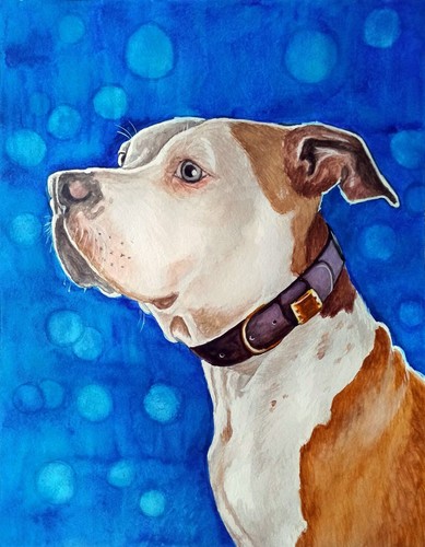Dog staffordshire pit bull - dog,