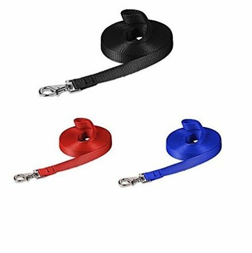 Dog lead puppy - pet, training