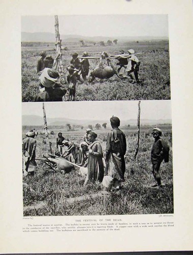 Original old antique print - old,