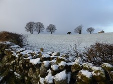 Photo 6x4 Wintry at Carony