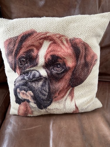 Boxer dog cushion - dog,