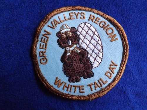 Boy scouts green valleys - scouts,