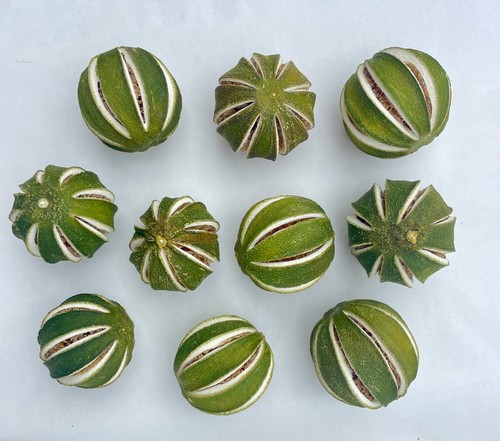 Dried whole green oranges - dried,