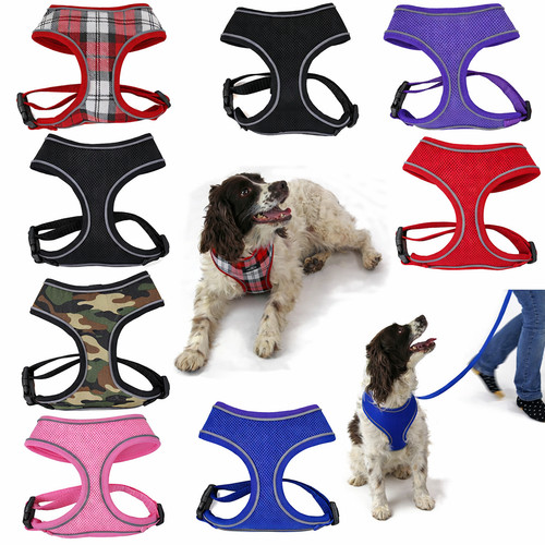 Comfortable dog harness - dog, puppy