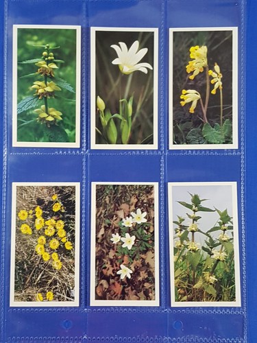 Grandee cigarette cards - grandee,