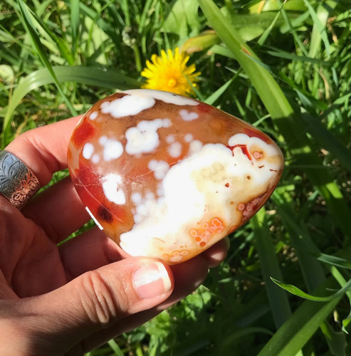 Sardonyx agate orca palm - sardonyx,