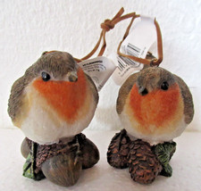 Sweet Pair of Christmas Robins